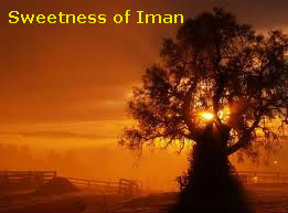 tree-iman-telugu-islam