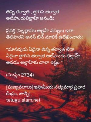 తిన్నత్రాగిన తర్వాత అల్‌ హందులిల్లాహ్‌ అనండి: ప్రవక్త (సల్లల్లాహు అలైహి వసల్లం) ఇలా తెలిపారని అనస్‌ బిన్‌ మాలిక్‌ ఈ ఉల్లేఖించారు: “మానవుడు ఏదైనా తిన్న తర్వాత లేదా ఏదైనా త్రాగిన తర్వాత అల్‌ హందు లిల్లాహ్‌ అనడం అల్లాహ్‌కు చాలా ఇష్టం. (ముస్లిం 2734). [పుణ్యఫలాలు| ఇస్లామీయ సత్యమార్గ ప్రచార కేంద్రం, జుల్ఫీ]. 