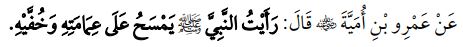 "ప్రవక్త (సల్లల్లాహు అలైహి వసల్లం) తమ తలపాగ మరియు మేజోళ్ళపైన 'మసహ్‌' చేస్తున్నది నేను చూశాను." (బుఖారి 205).