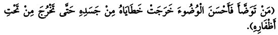 "ఎవరు వుజూ చేసినప్పుడు పూర్తి శ్రద్ధతో మంచి విధంగా చేస్తారో అతని శరీరం నుండి అతని పాపాలన్నీ రాలిపోతాయి. చివరికి గోళ్ళ నుండి కూడా రాలిపోతాయి". (ముస్లిం 245).