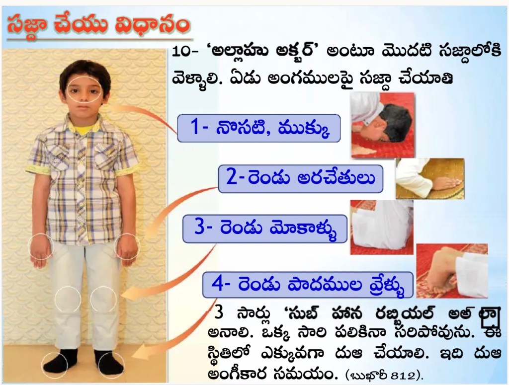 సజ్దా చేసే సరైన విధానం